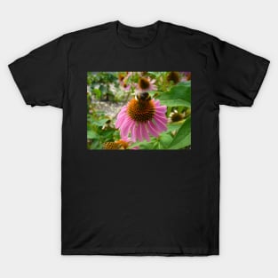 Bumble Bee on Echinacea T-Shirt